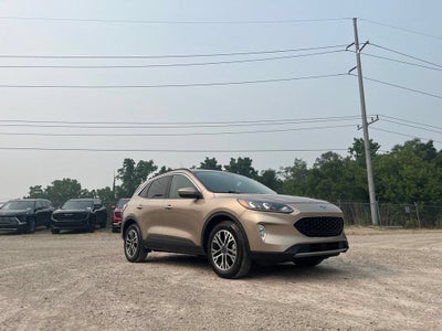 2020 Ford Escape SEL