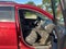 2010 Chevrolet Equinox LT w/1LT