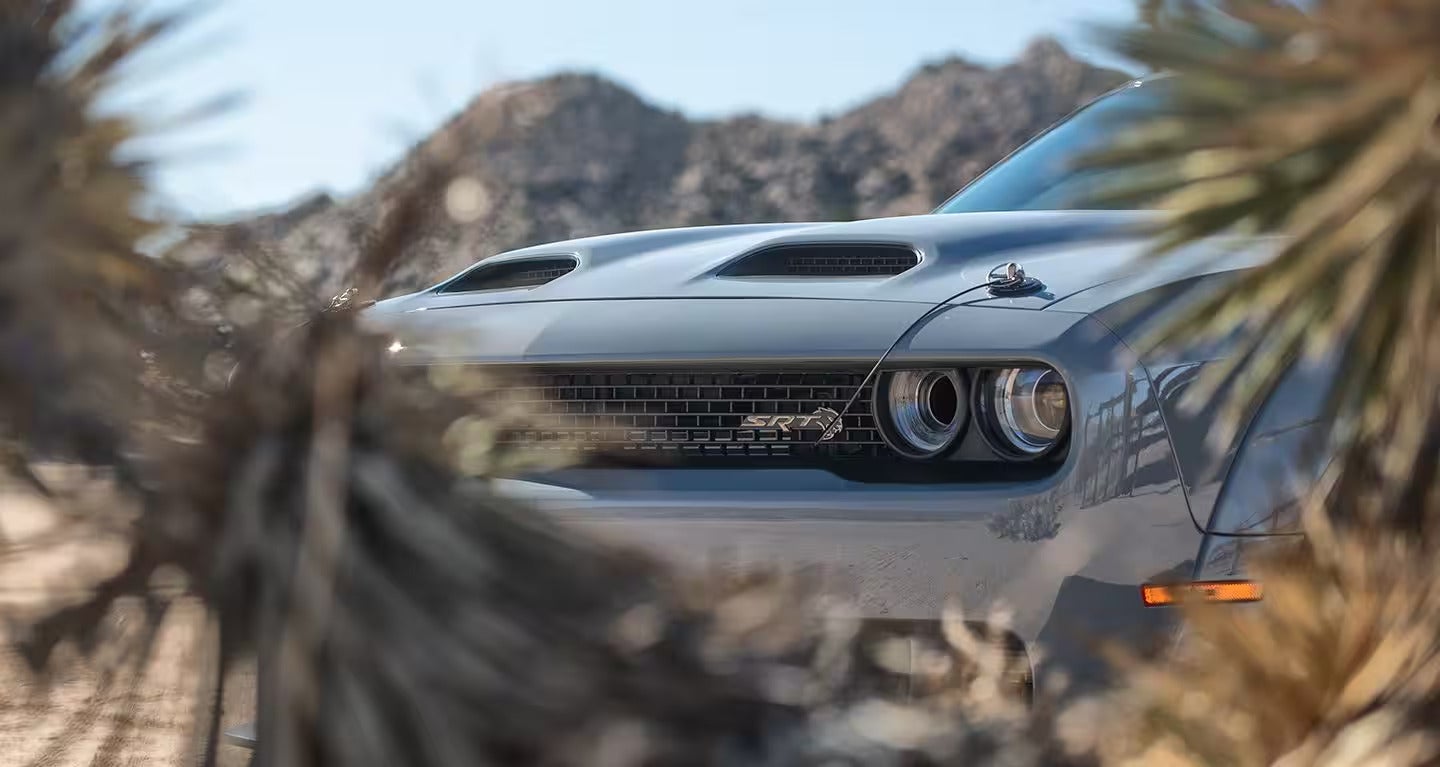 Close-up of a silver Dodge Challenger with “SRT Hellcat” emblem, seen through blurred desert plants.