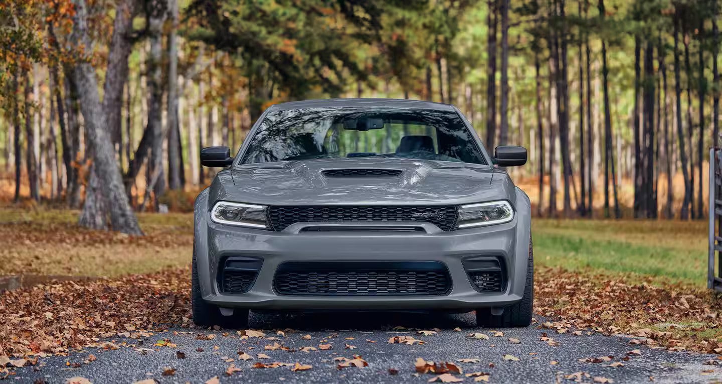 Front view of a gray muscle car with a large hood scoop, parked on an asphalt road with autumn leaves.