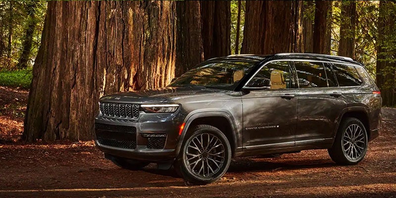 Dark gray Jeep Grand Cherokee parked on a dirt path in a redwood forest.