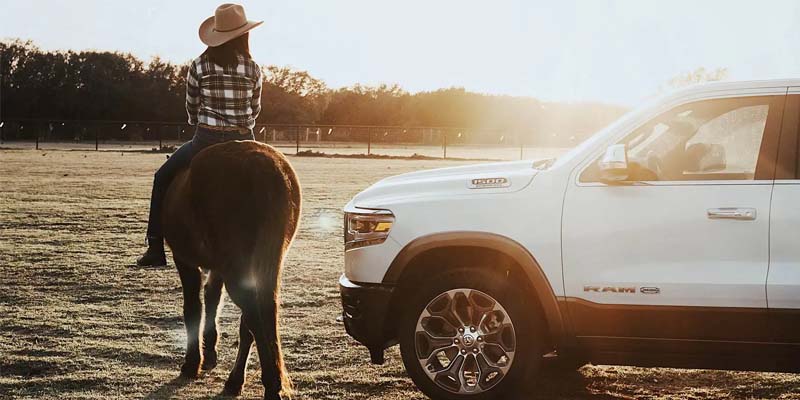 Woman on horseback looking at a white pickup truck in a sunny field.